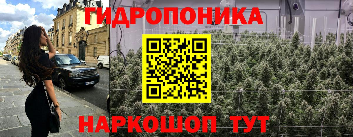 Бошки Шишки тримм Великий Новгород